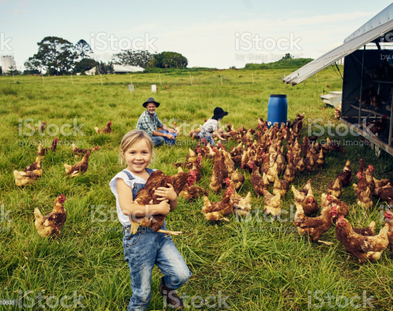 Joke - Stock photography